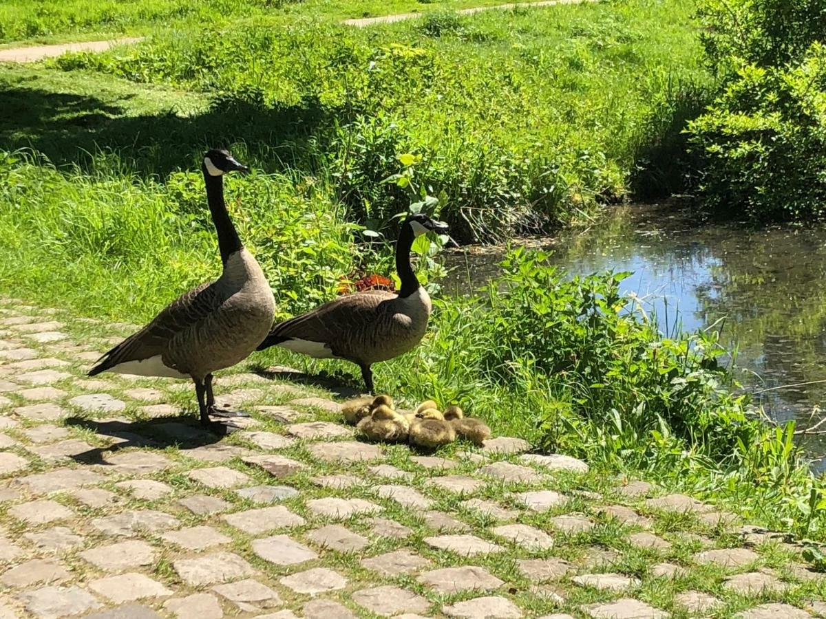 Ferienwohnungen Saarn Mülheim an der Ruhr Dış mekan fotoğraf